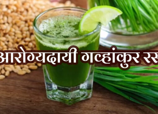 Importance of healthy wheat grass juice