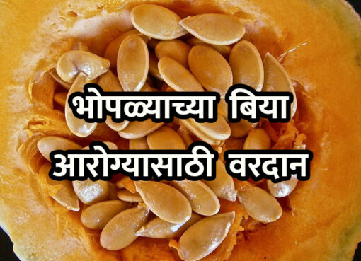 Benefits of Pumpkin Seeds | Aapli Mayboli