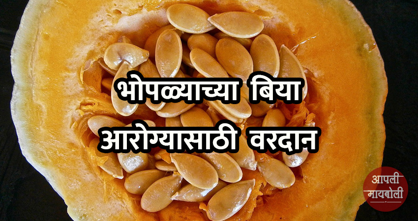 Benefits of Pumpkin Seeds | Aapli Mayboli