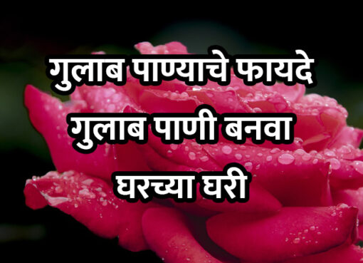Benefits of Rose Water | Aapli Mayboli
