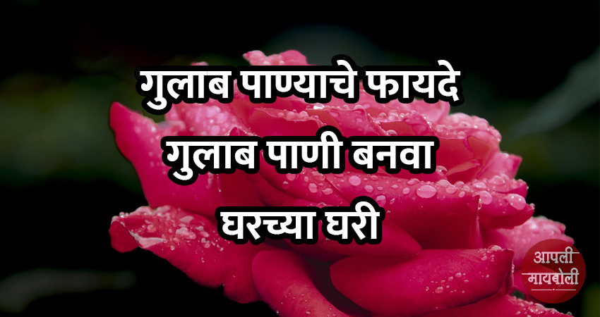 Benefits of Rose Water | Aapli Mayboli
