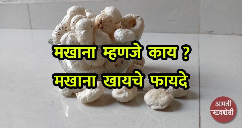 Health Benefits of Makhana | Aapli Mayboli