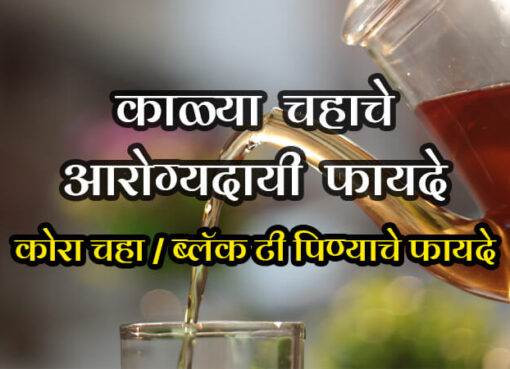 Black Tea Benefits | Aapli Mayboli